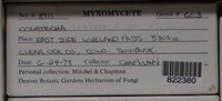 Image Associated With the Occurence